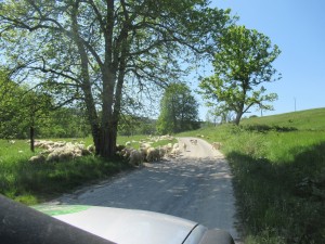 350848620 559705386325278 7314731325485060225 n