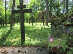 351464098 621923646319676 968233756057526269 n