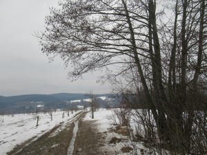 325774525 1351880778920848 7530801150814101774 n