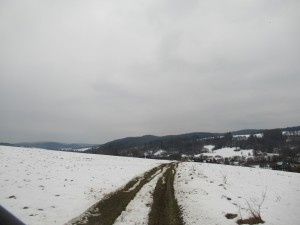 325871113 703340814507205 7292421549929565611 n