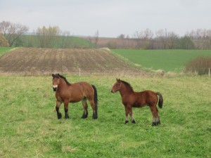 401755956 902447284811978 6706483504585544870 n