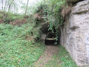 401771873 902447878145252 4041916076681462172 n