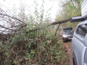 401773252 902444708145569 3846083920533553994 n