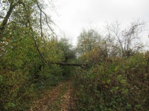 401833480 902444614812245 2449694729206268532 n