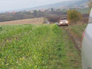 401837251 902447664811940 1011306138091093805 n