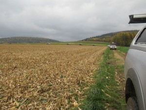 402085991 902447178145322 8081967630792011097 n