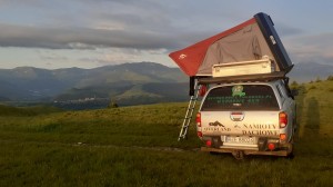 356403817 812750060448368 2889350521630348723 n