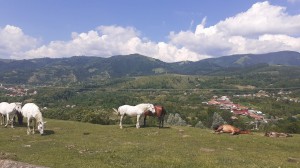 357409056 815797650143609 8727963143449365213 n