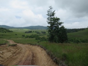 359528747 823140572742650 5533503439633373539 n