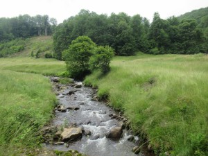 359745451 823140316076009 2352212328546842015 n