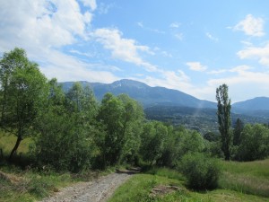 359814607 823143166075724 5435654530365319412 n