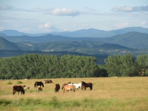 359830050 823141279409246 961972633346363125 n