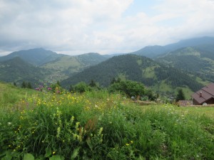 361095480 826043829118991 2097555537513794765 n