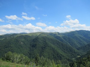 362211304 827565785633462 2353796469263717201 n