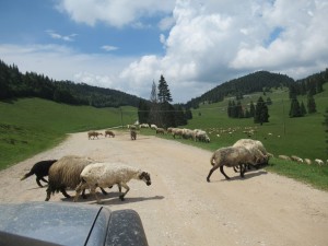 363356814 832251891831518 4481077415140362770 n