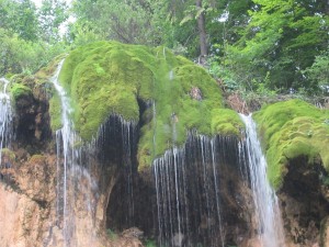 363382807 832253168498057 8543185993551792242 n