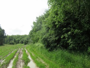 355117108 808417014215006 2331814184551122761 n