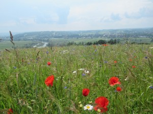 355146234 808420220881352 5984132256979345727 n