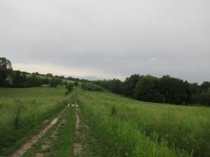 355312910 808420940881280 8080012253259397690 n