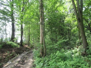 355476674 808418477548193 5560424255225429946 n