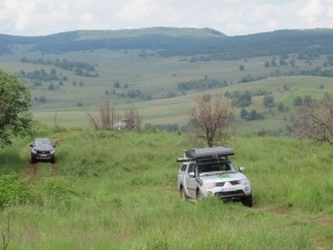 353661160 803673381356036 4130064885742136029 n