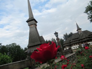 353671799 803671894689518 7820921506909384402 n