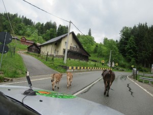 354176927 805497364506971 6340990977391520773 n