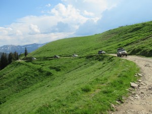 354236437 806538191069555 2584602168152103558 n