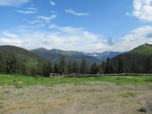 354441961 806537384402969 8313672926878759144 n