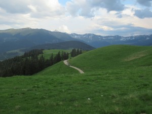 354457613 806537154402992 6306132862544040341 n