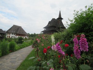 354466701 806538667736174 1816970570738947451 n