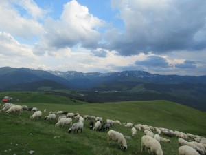 354601912 806537951069579 1502504129593756831 n