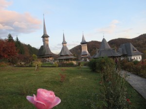 396728667 896420915414615 803748280754869238 n