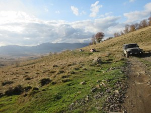 397998917 896420758747964 3711758240633729144 n