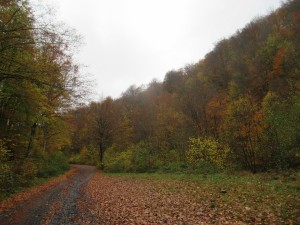 397999321 896418315414875 4556974425767970867 n