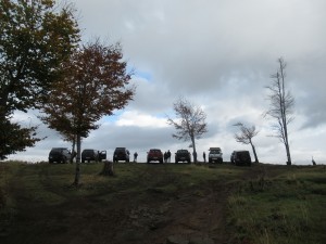 398009857 896419212081452 4620599278787582468 n