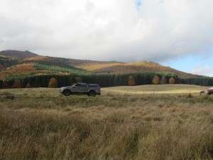 398013228 896420382081335 1526420731089269224 n