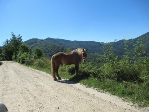 369910459 849644996758874 3257091527352059039 n