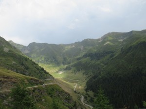 369918323 850864993303541 5799618658447534944 n