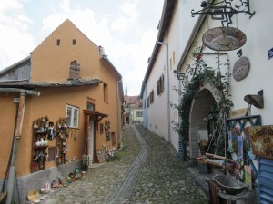 369934460 852066963183344 1801167600695167824 n