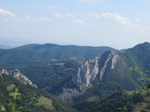 369938873 852066493183391 1317927599837192592 n