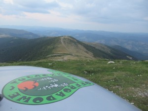 369939058 852067159849991 6962126312628399674 n