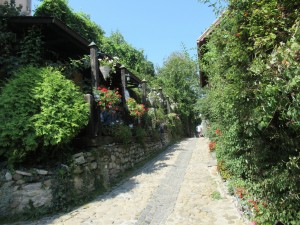 369943913 852067766516597 2635986702514045015 n