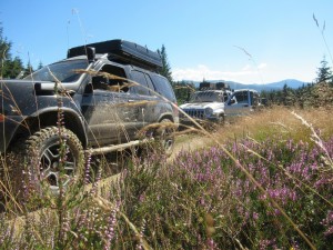 369978921 849645360092171 2374915163576102561 n