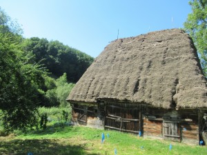 369999273 849643776758996 683375363180695354 n