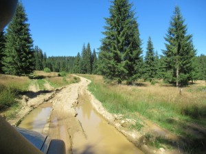 370036372 849645070092200 2246323047298274790 n