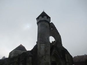 370037412 852065736516800 8178127655843668585 n