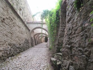 370051848 852067779849929 359882962905144578 n