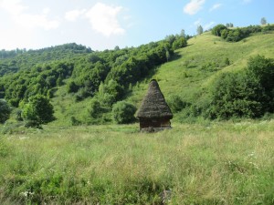 370245138 852068099849897 4179196979846627002 n