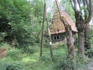 370564577 852068069849900 5089669721265313908 n